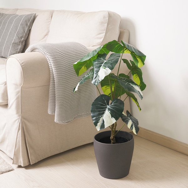 IKEA FEJKA artificial potted plant, indoor/outdoor, 7 ½ in Elephant Ear, Ikea Ireland | 8613OFDCL