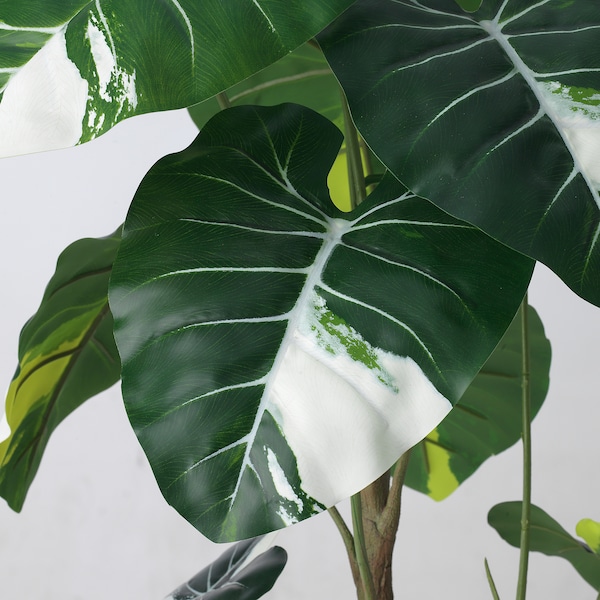 IKEA FEJKA artificial potted plant, indoor/outdoor, 7 ½ in Elephant Ear, Ikea Ireland | 8613OFDCL