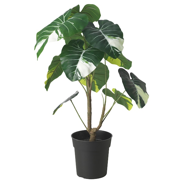IKEA FEJKA artificial potted plant, indoor/outdoor, 7 ½ in Elephant Ear, Ikea Ireland | 8613OFDCL
