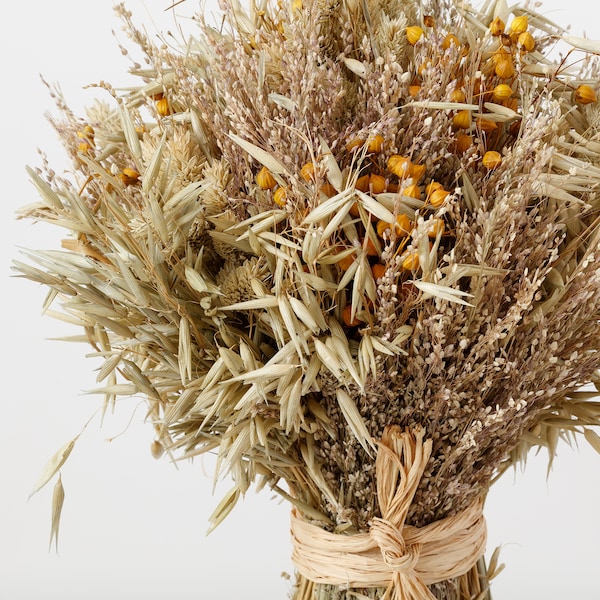 IKEA FESTSUGEN dried parts of flowers/plants, natural, Ikea Ireland | 7814PWROG