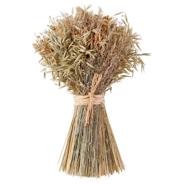 IKEA FESTSUGEN dried parts of flowers/plants, natural, Ikea Ireland | 7814PWROG