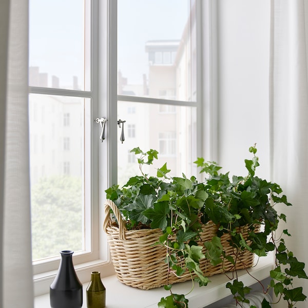 IKEA FLODBJÖRK flower box, indoor/outdoor light gray-brown, 21x8 in, Ikea Ireland | 2957HQSJK