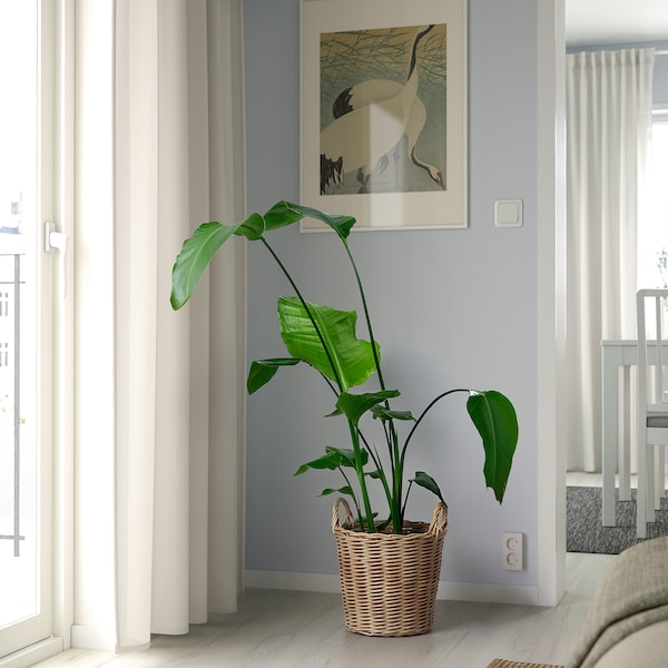 IKEA FLODBJÖRK plant pot, indoor/outdoor light gray-brown, 9 ½ in, Ikea Ireland | 1840XZALU