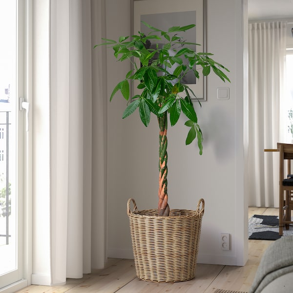 IKEA FLODBJÖRK plant pot, indoor/outdoor light gray-brown, 16 ¼ in, Ikea Ireland | 7380NBHXK