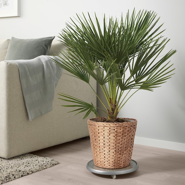 IKEA FRIDFULL plant pot, water hyacinth, 9 ½ in, Ikea Ireland | 3287IFTRN