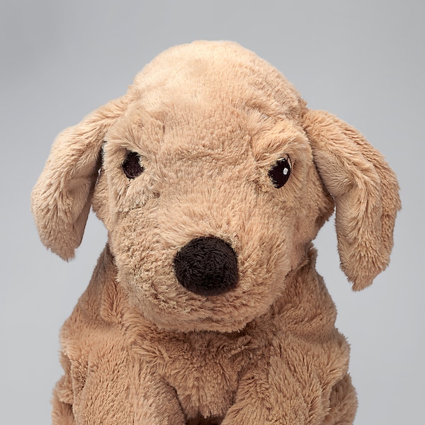 IKEA GOSIG GOLDEN soft toy, dog/golden retriever, 15 ¾ in, Ikea Ireland | 2036JXIHL