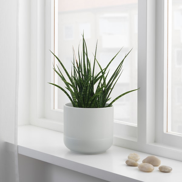 IKEA GRADVIS plant pot, 6 in Gray, Ikea Ireland | 0936OFGSV