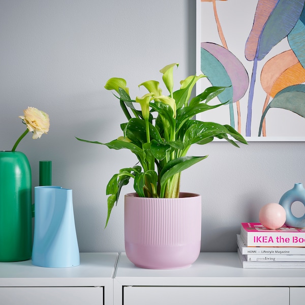 IKEA GRADVIS plant pot, indoor/outdoor, 6 in Lilac, Ikea Ireland | 7960WMPGR