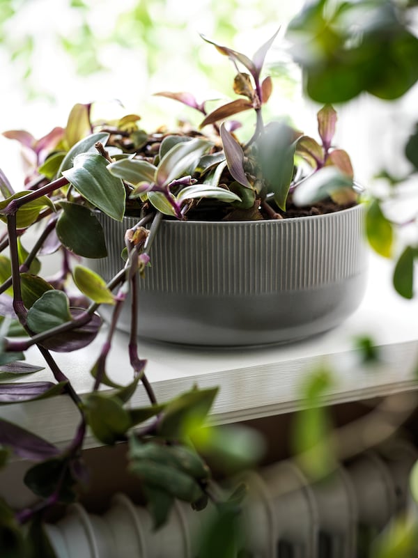 IKEA GRADVIS planter, indoor/outdoor gray, 8 ¾ in, Ikea Ireland | 7254PYXMB