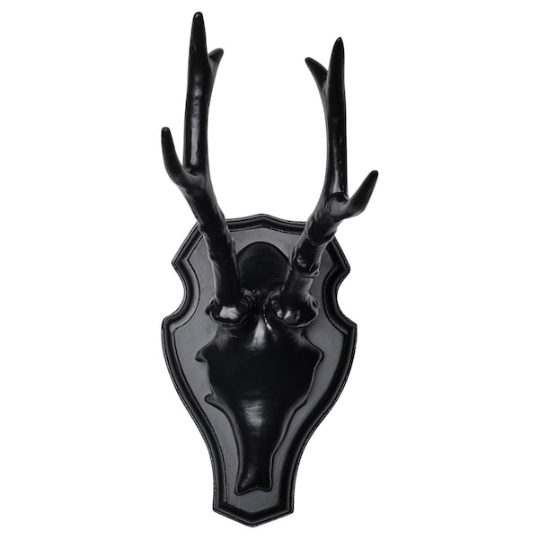 IKEA GÅRDSTÅNGA wall decoration, Horns black, 13 ½ in, Ikea Ireland | 1594XSUTY