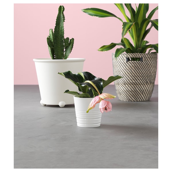 IKEA IKEA PS FEJÖ Self-watering plant pot White, Ikea Ireland | 4608HDSBU