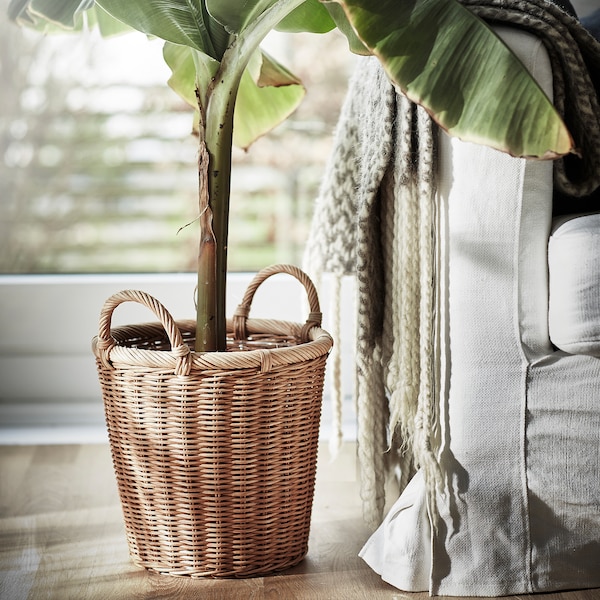 IKEA KAKTUSFIKON plant pot, rattan, 9 ½ in, Ikea Ireland | 5924VQAXE