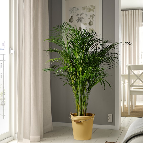 IKEA ÅKERBÄR bucket/plant pot, indoor/outdoor yellow, 11 qt, Ikea Ireland | 6348JXZBS