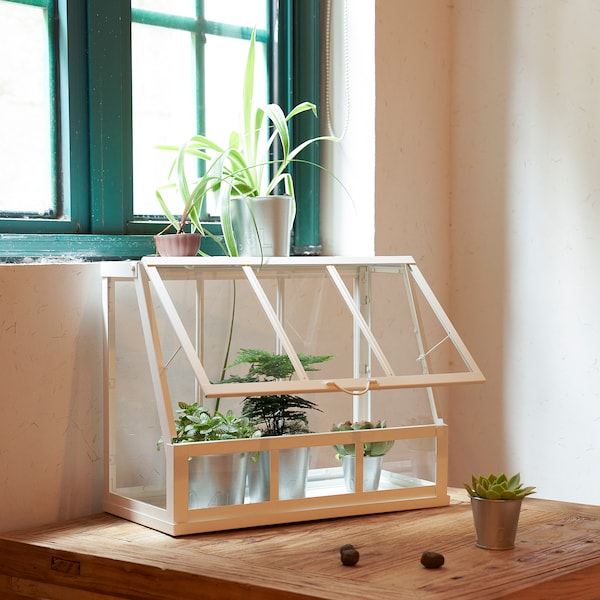 IKEA ÅKERBÄR greenhouse, 17 ¾ in White, Ikea Ireland | 3856KVIFQ