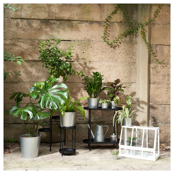 IKEA ÅKERBÄR greenhouse, 17 ¾ in White, Ikea Ireland | 3856KVIFQ