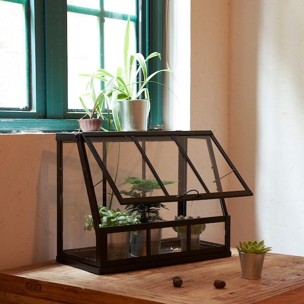 IKEA ÅKERBÄR greenhouse, indoor/outdoor/anthracite, 17 ¾ in Anthracite, Ikea Ireland | 0642BYCAM