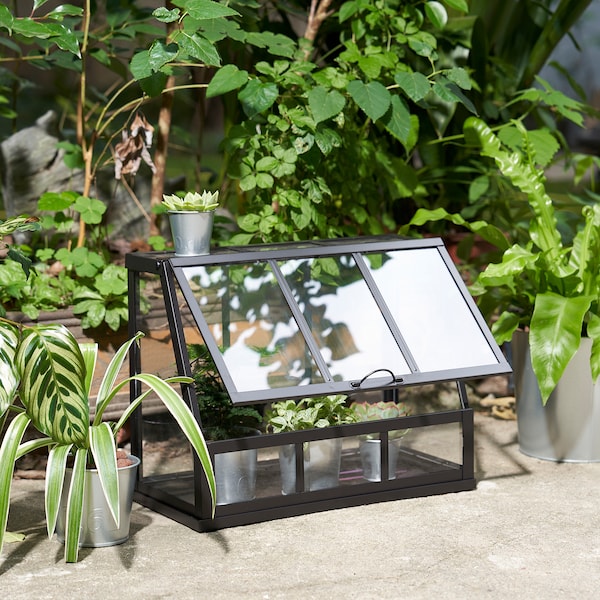 IKEA ÅKERBÄR greenhouse, indoor/outdoor/anthracite, 17 ¾ in Anthracite, Ikea Ireland | 0642BYCAM