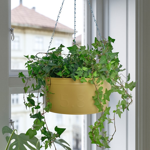 IKEA ÅKERBÄR hanging planter, indoor/outdoor yellow, 10 ¾ in, Ikea Ireland | 8093CBVPY