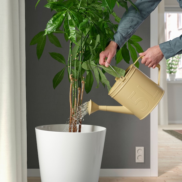 IKEA ÅKERBÄR watering can, indoor/outdoor yellow, 169 oz, Ikea Ireland | 6197FGQKE