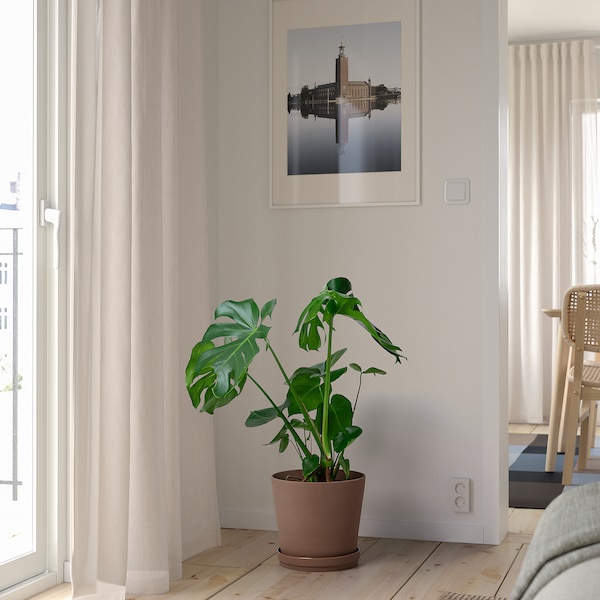 IKEA KLARBÄR plant pot with saucer, indoor/outdoor brown, 9 ½ in, Ikea Ireland | 1520KVLEN