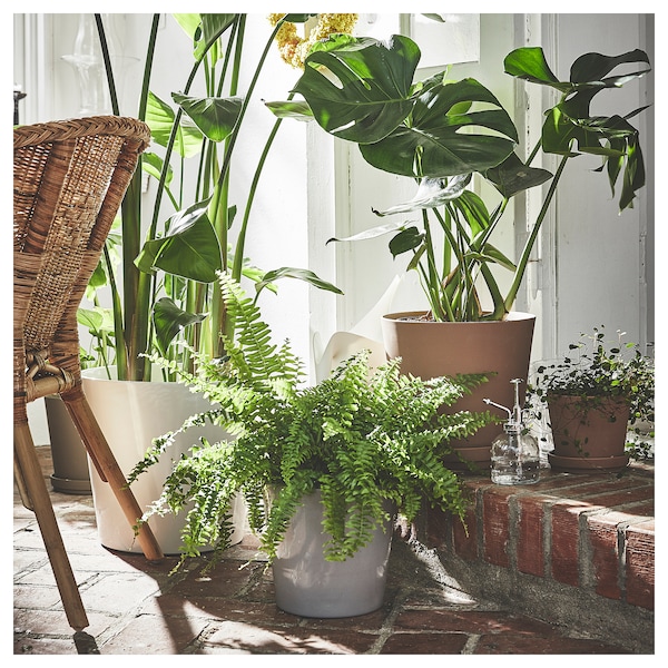 IKEA KLARBÄR plant pot with saucer, indoor/outdoor brown, 9 ½ in, Ikea Ireland | 1520KVLEN