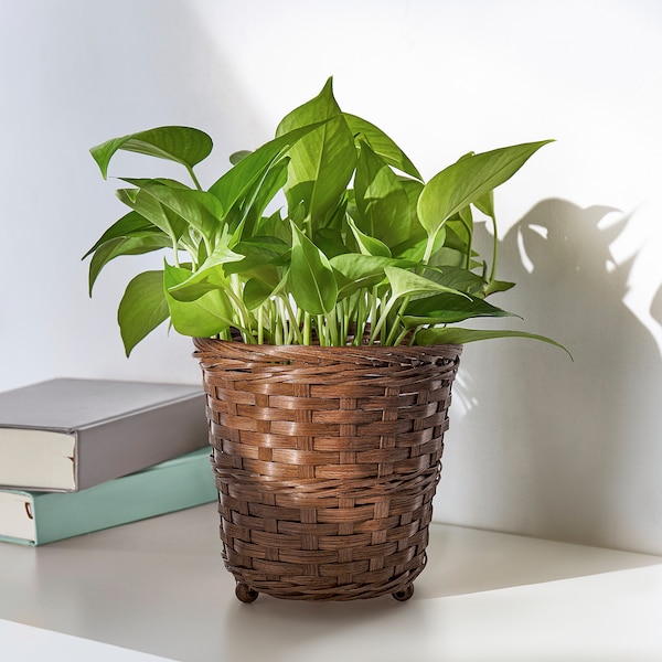 IKEA KLIBBAL plant pot, brown, 6 in, Ikea Ireland | 4352FTBJC