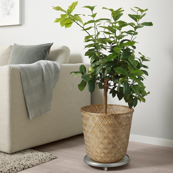 IKEA KLYNNON plant pot, handmade bamboo, 12 ½ in, Ikea Ireland | 3592GIHAC