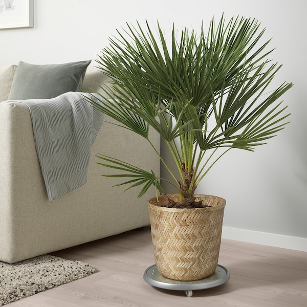 IKEA KLYNNON plant pot, handmade bamboo, 9 ½ in, Ikea Ireland | 1940HKRYN