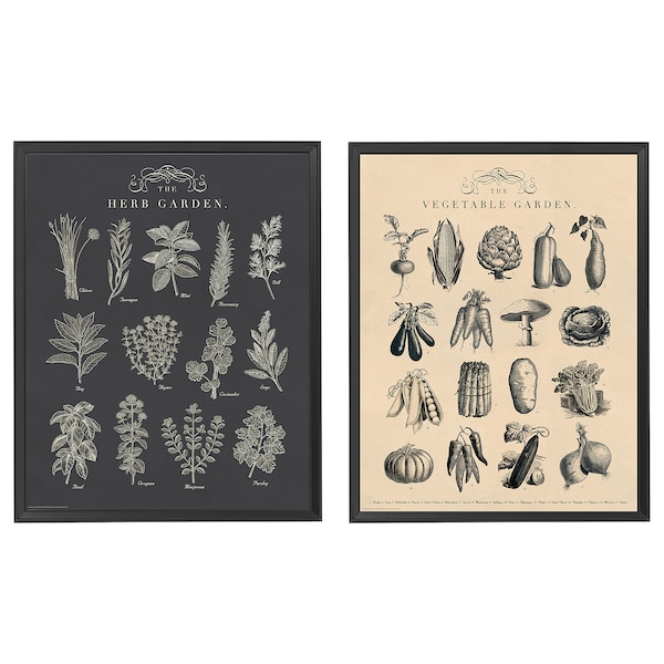 IKEA KNOPPÄNG Frame with poster, garden, 2 pack, Ikea Ireland | 0574PFEAU