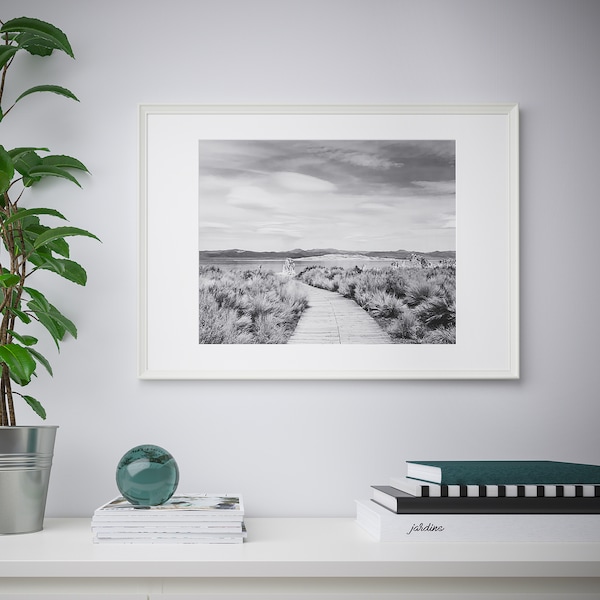 IKEA KNOPPÄNG frame, 19 ¾x27 ½ in White, Ikea Ireland | 0738PMADV