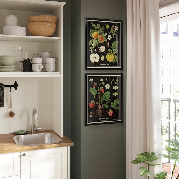 IKEA KNOPPÄNG frame with poster, 16 ¼x20 in, 2 pack Vintage Botanical Fruit Charts, Ikea Ireland | 8729RPQNZ