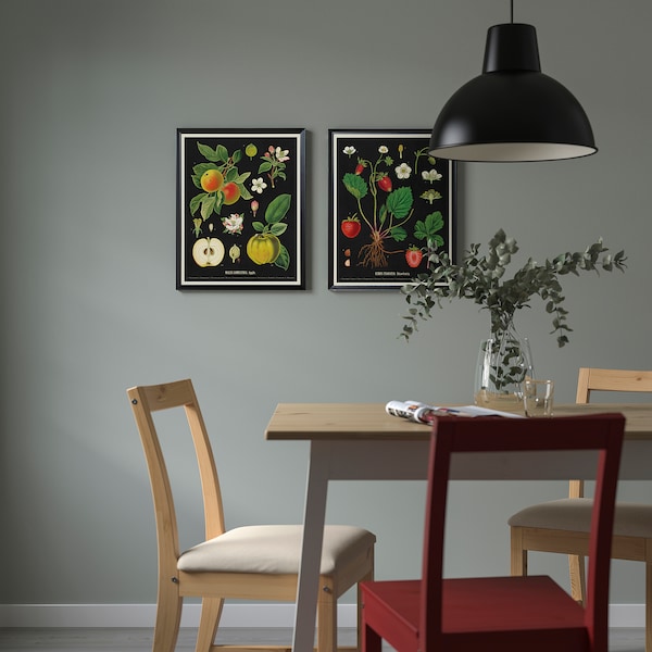 IKEA KNOPPÄNG frame with poster, 16 ¼x20 in, 2 pack Vintage Botanical Fruit Charts, Ikea Ireland | 8729RPQNZ