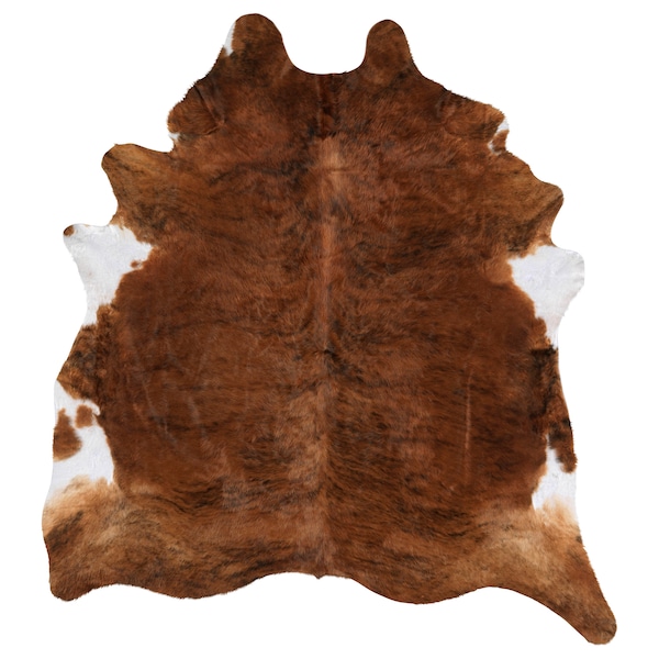 IKEA KOLDBY cowhide Brown, Ikea Ireland | 8137CSBUM