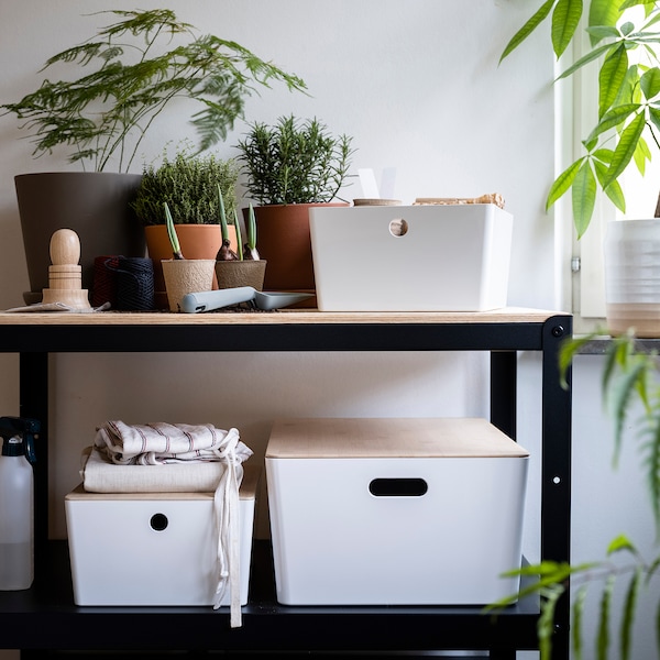 IKEA KUGGIS lid, 14 ½x21 ¼ in Bamboo, Ikea Ireland | 9041UXCTG