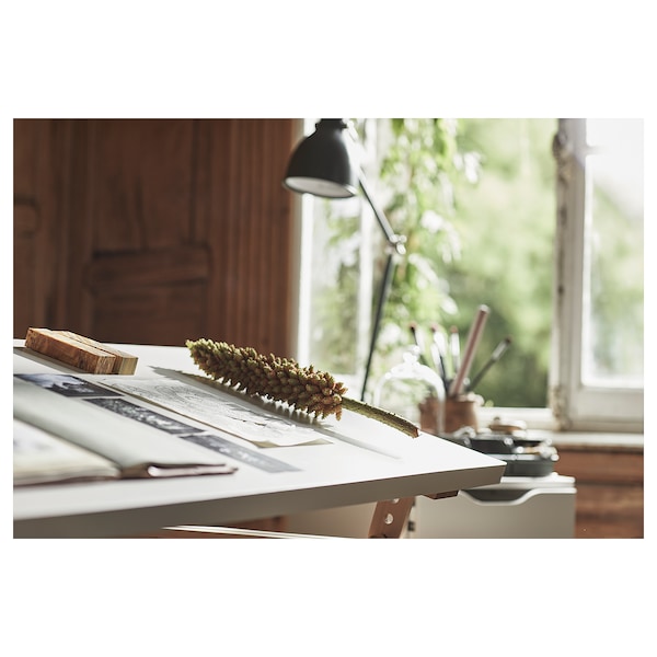 IKEA LAGKAPTEN tabletop, 47 1/4x23 5/8 in White, Ikea Ireland | 4652FXJZP