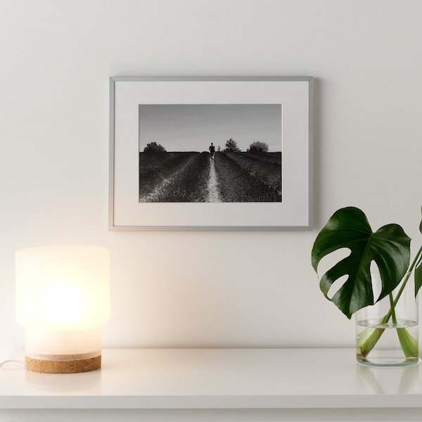 IKEA LOMVIKEN Frame, aluminum, 12 ¼x16 ¼ in, Ikea Ireland | 0736HSCLM