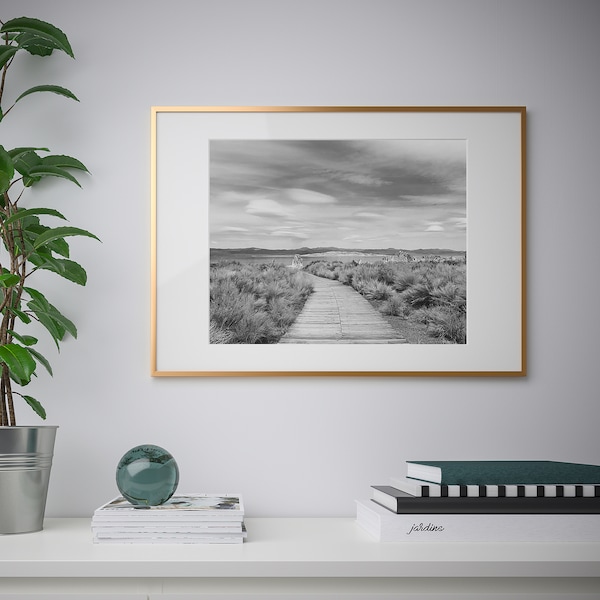 IKEA LOMVIKEN frame, 19 ¾x27 ½ in Gold, Ikea Ireland | 2168FBGIW
