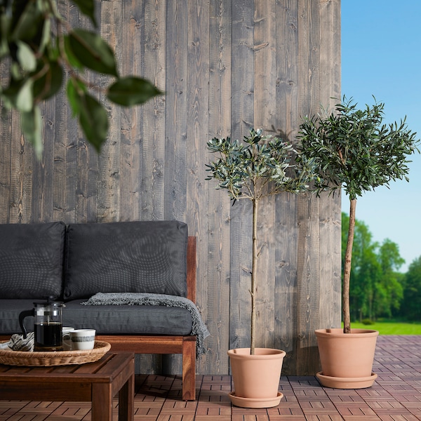IKEA MUSKOTBLOMMA plant pot with saucer, indoor/outdoor terracotta, 7 ½ in, Ikea Ireland | 7638LQTXW