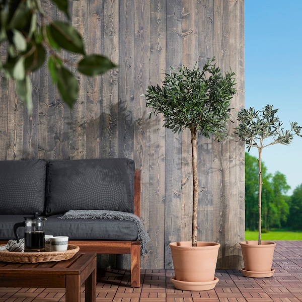 IKEA MUSKOTBLOMMA plant pot with saucer, indoor/outdoor terracotta, 9 ½ in, Ikea Ireland | 0168IHPZO