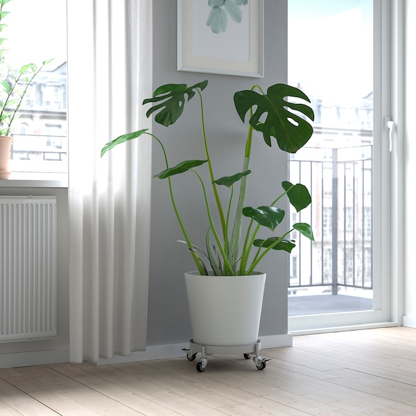 IKEA OLIVBLAD plant stand on wheels, indoor/outdoor light gray, 12 ½ in, Ikea Ireland | 4152CXNEL