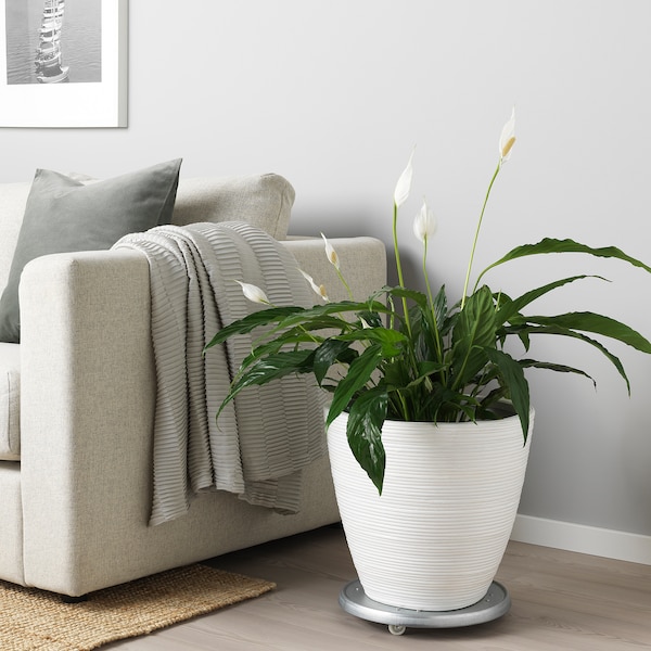 IKEA PEKANNÖT plant pot, rattan, 9 ½ in, Ikea Ireland | 5438THUDF