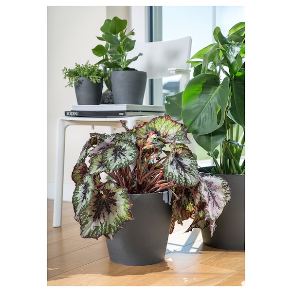 IKEA PERSILLADE plant pot, dark gray, 7 ½ in, Ikea Ireland | 1698OELUT