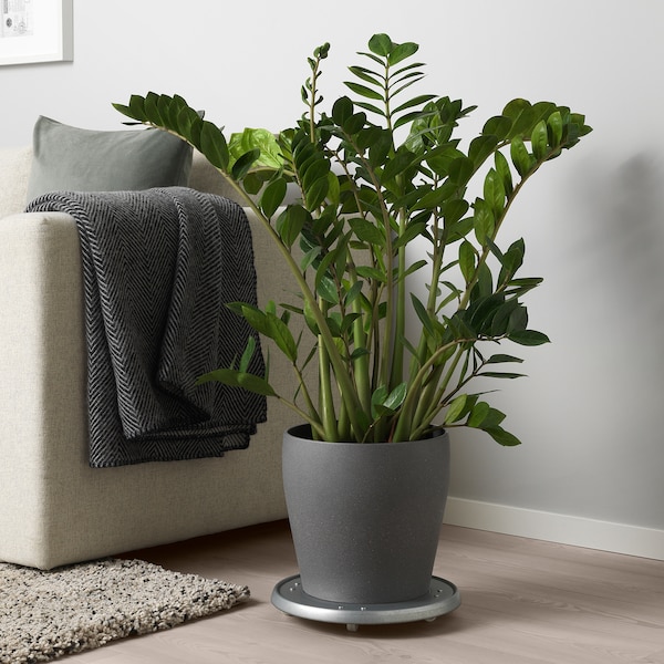 IKEA PERSILLADE plant pot, dark gray, 9 ½ in, Ikea Ireland | 6049WGTZC