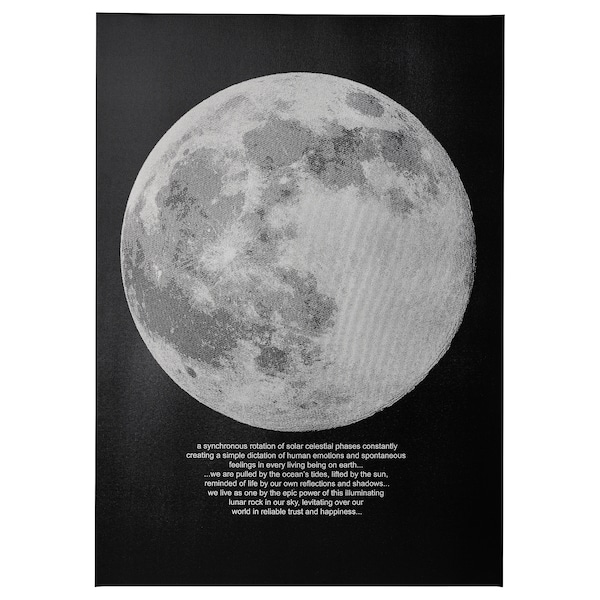 IKEA PJÄTTERYD picture, 19 ¾x27 ½ in Moonlight, Ikea Ireland | 0218QHOTW