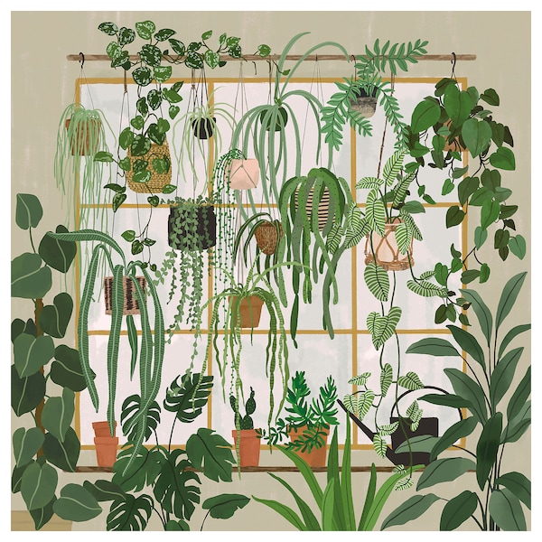 IKEA PJÄTTERYD picture, 22x22 in Garden Shop Window, Ikea Ireland | 9306WEMOX