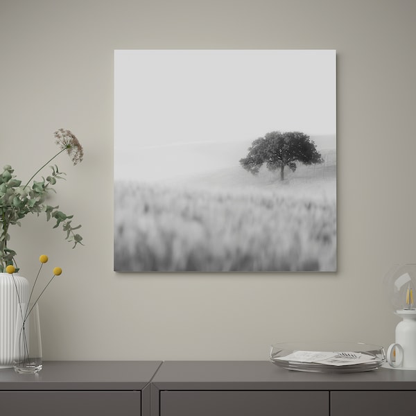 IKEA PJÄTTERYD picture, 22x22 in Lonely Tree, Ikea Ireland | 8429UFWNJ