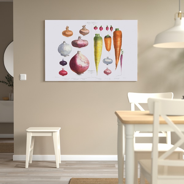 IKEA PJÄTTERYD picture, Onions, radishes and carrots, 46 ½x30 ¾ in, Ikea Ireland | 1346JKURC