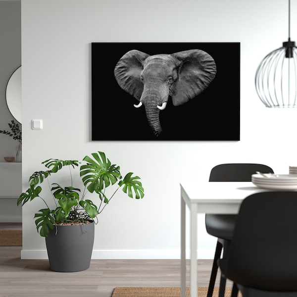 IKEA PJÄTTERYD picture, masikio noir, 46 ½x30 ¾ in, Ikea Ireland | 8613PLFTJ