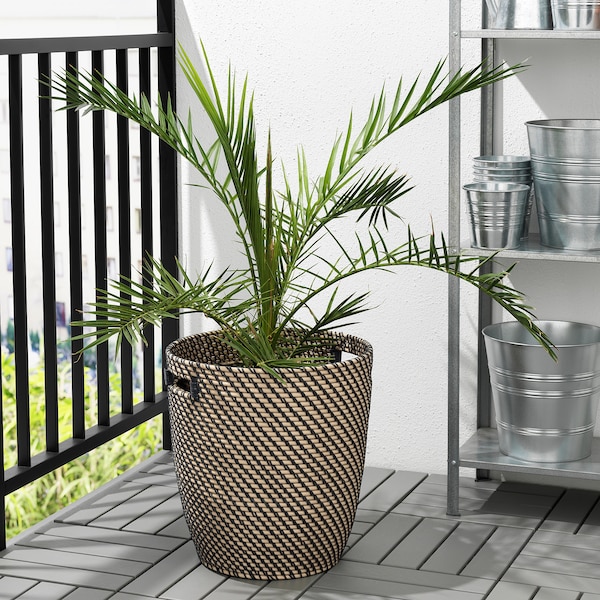 IKEA RÅGKORN plant pot, indoor/outdoor dark gray/beige, 12 ½ in, Ikea Ireland | 1264RYCDL