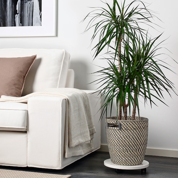 IKEA RÅGKORN plant pot, indoor/outdoor dark gray/beige, 9 ½ in, Ikea Ireland | 4925PZNTO